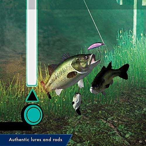 Nintendo Switch - Legendary Fishing 釣魚傳奇 (中英合版) 5