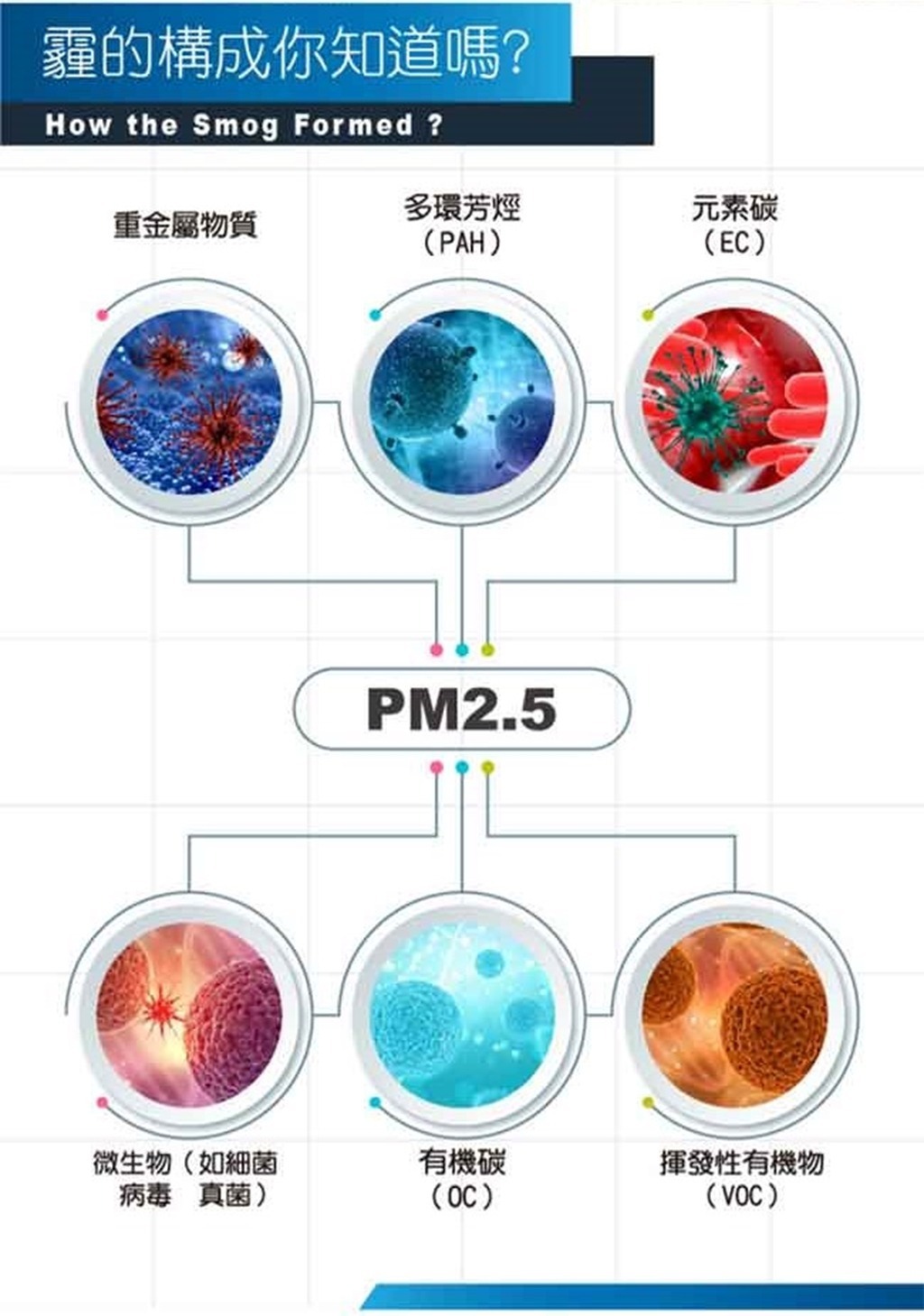 藍鷹牌 NP-4DC 成人立體活性碳PM2.5 防霾口罩 (25枚入) 11