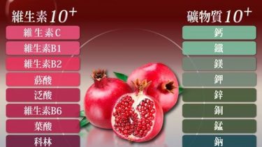 Boto – 原箱100包 高濃度紅石榴冷萃鮮榨美妍飲 80ml – 平行進口