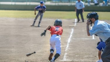 Introductory Baseball Course